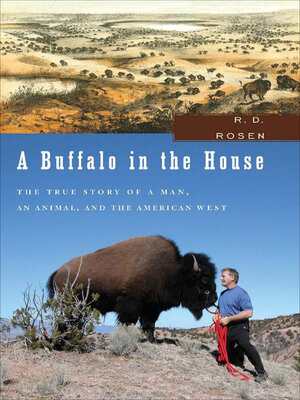 cover image of A Buffalo in the House